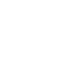 dollar icon