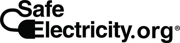 safe electricity logo